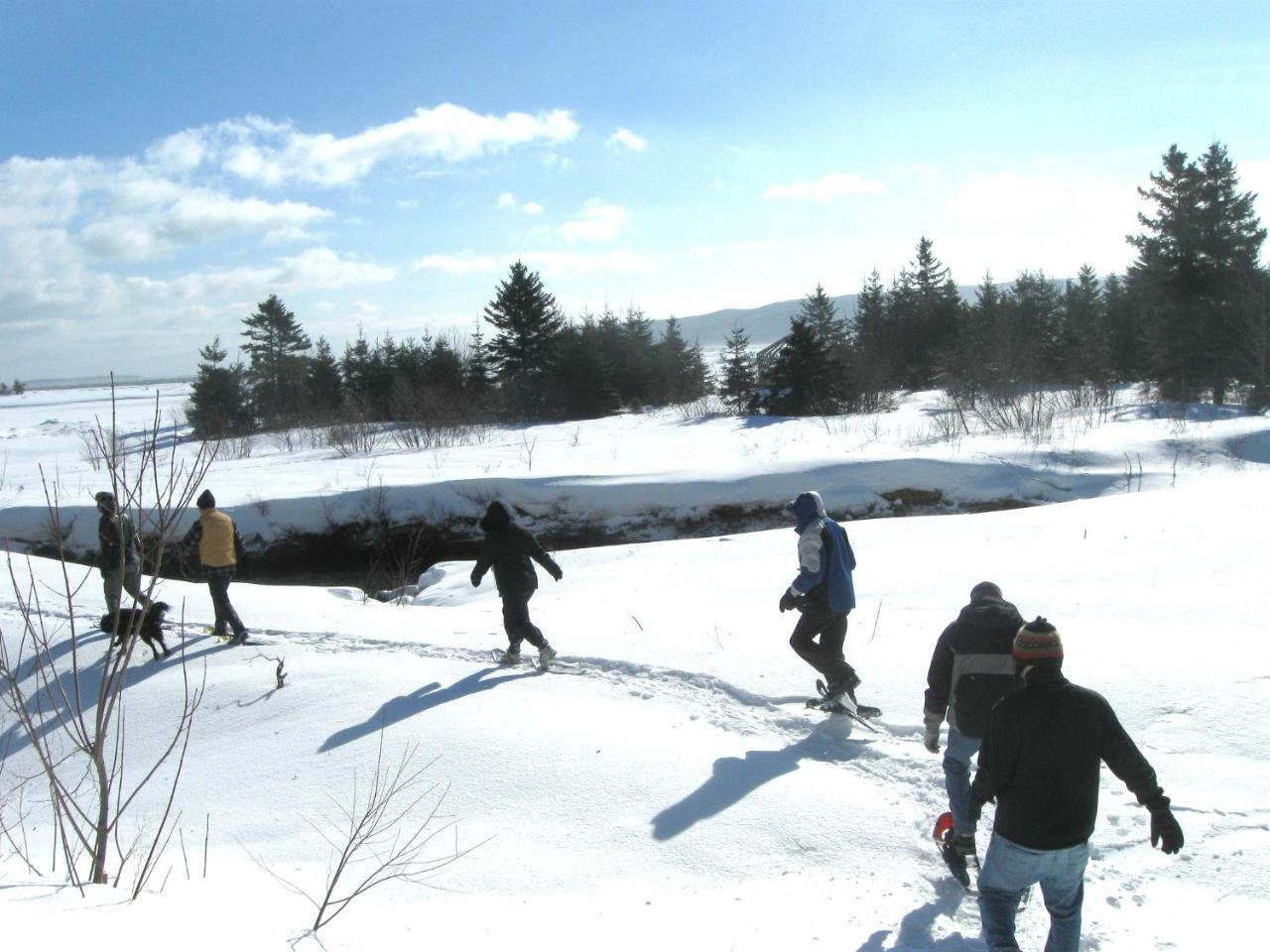 Вилла Cabot Shores Indian Brook Экстерьер фото